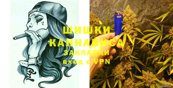 твердый Дмитриев