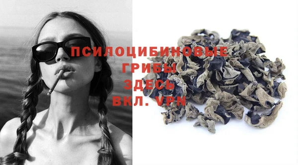 твердый Дмитриев
